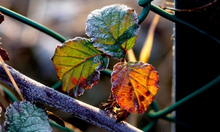 How to preview and control histogram clipping in Lightroom