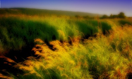 How to stack filters in Color Efex Pro 4