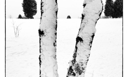 How to create a fine art effect with Silver Efex Pro 2