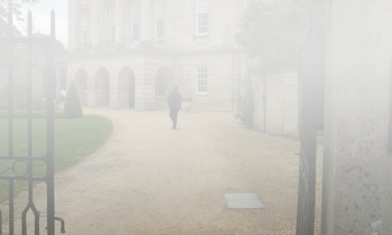 Create a mist effect in Elements with blend modes and masks