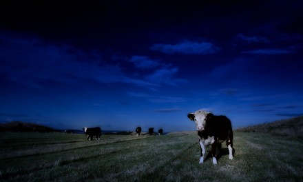 How to create a moonlight effect in Color Efex Pro 4