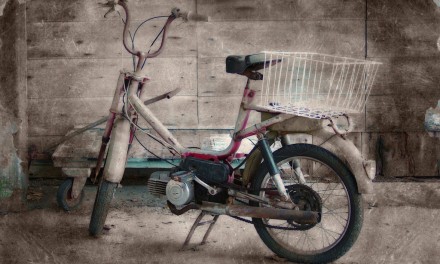 Create a beautiful gum bichromate effect in Perfect B&W