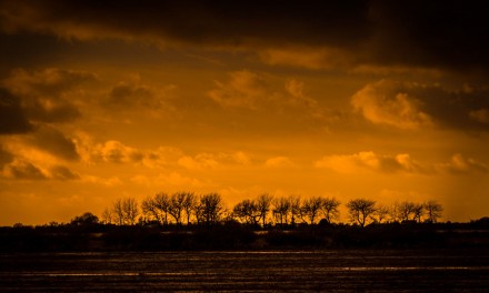 How to use the the Lightroom Snapshot feature to compare editing techniques