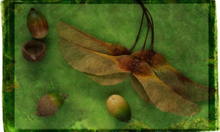 How to combine Perfect Effects frames and blend modes