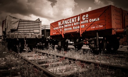 Create mono with a difference with this Lightroom selective colour technique