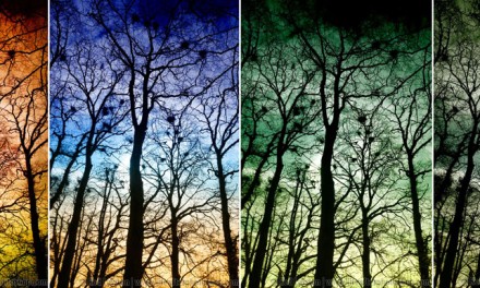Pimp your pictures with the Color Efex Pro Bi-Colour filter