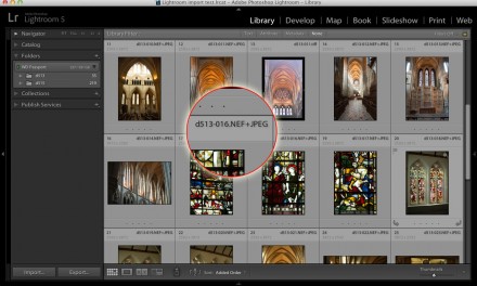 How to manage Lightroom RAW+JPEG pairs