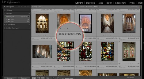 How to manage Lightroom RAW+JPEG pairs