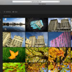How to use Lightroom online