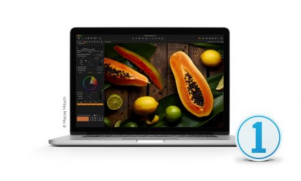 Friday photo software news