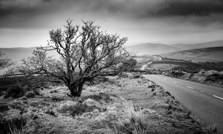 Fine art black and white with the Fujifilm GFX