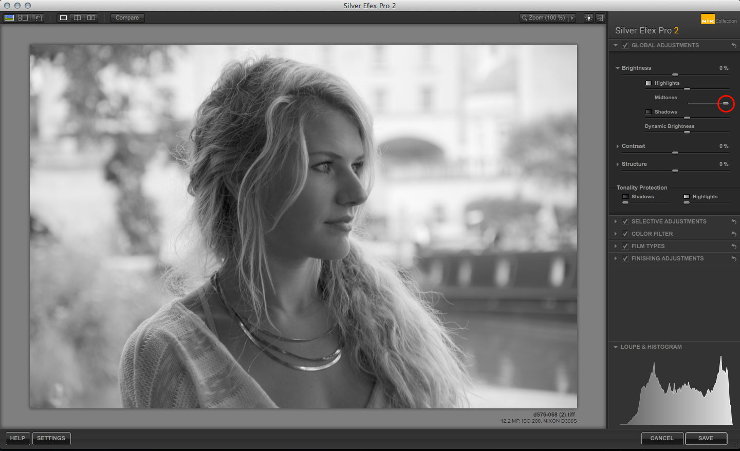 Try This Silver Efex Pro Tutorial For Portraits - Life After Photoshop